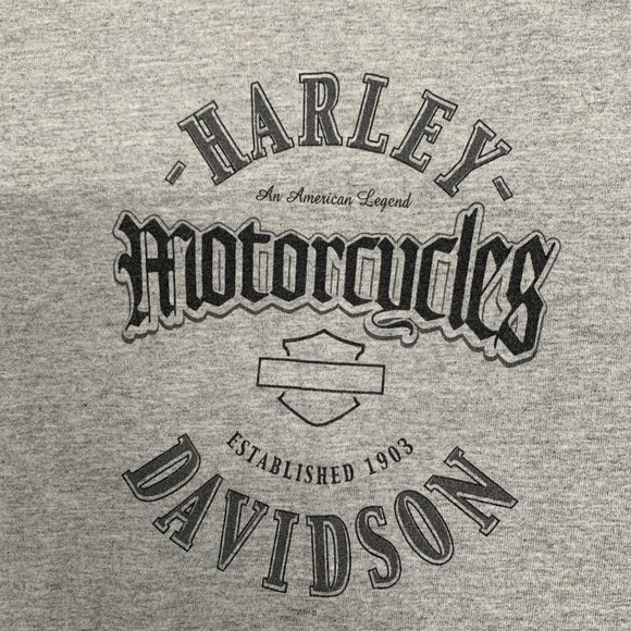 Vtg Harley Davidson L Alamo City San Antonio Long Sleeve T-shirt Gray 4 Hits Y2k - Picture 3 of 13